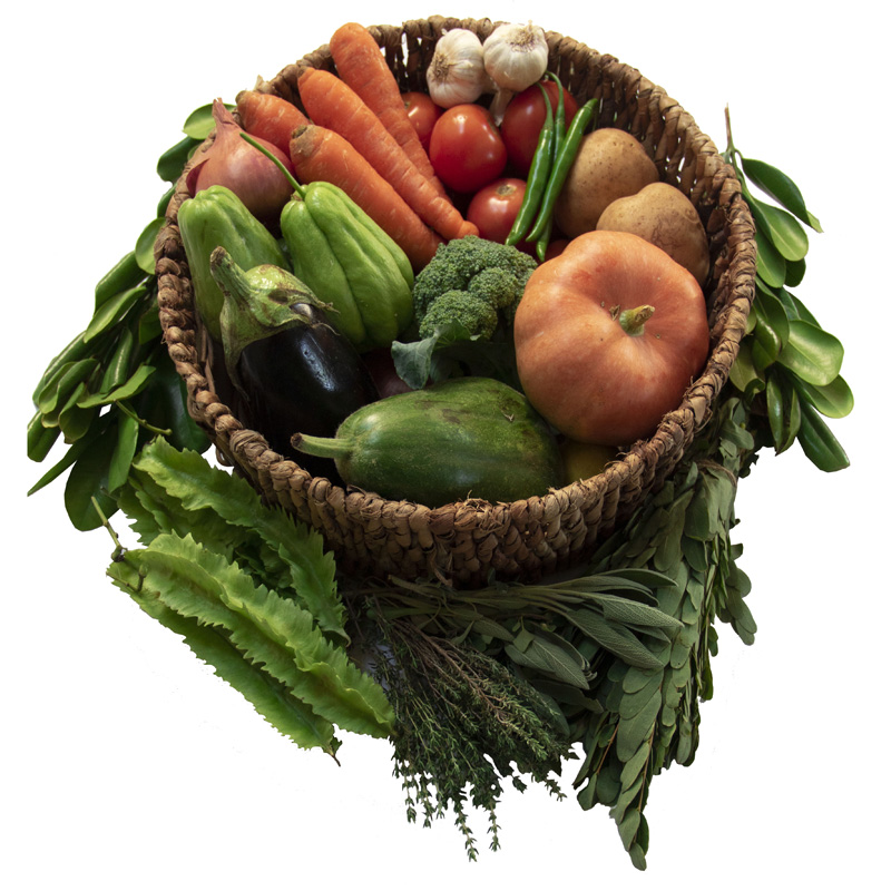 Small Veggie Box